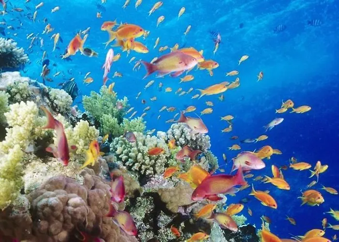 Adosado La Guancha * San Miguel de Abona