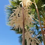 Adosado La Guancha Сан Мигель