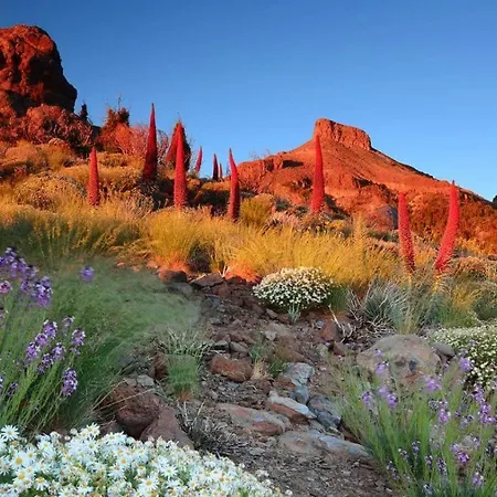 Holiday home Adosado La Guancha San Miguel de Abona