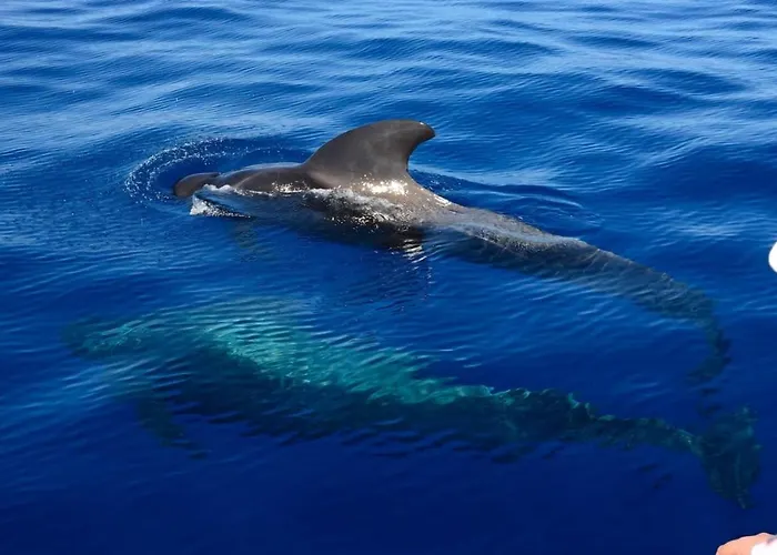 Adosado La Guancha San Miguel de Abona