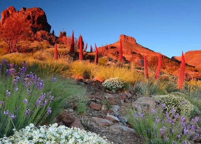 Hébergement de vacances Adosado La Guancha San Miguel de Abona