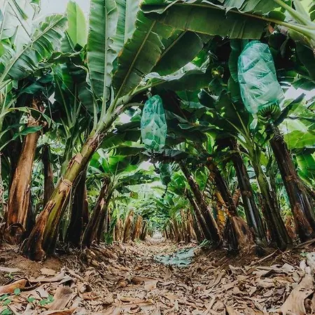 Adosado La Guancha Semesterbostad *