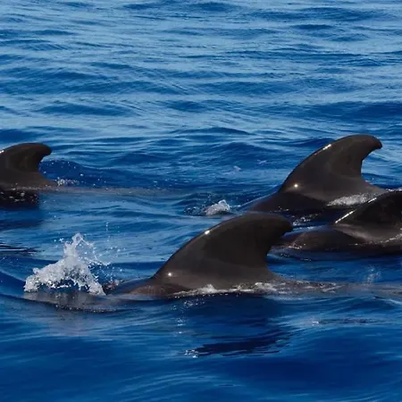 Adosado La Guancha *