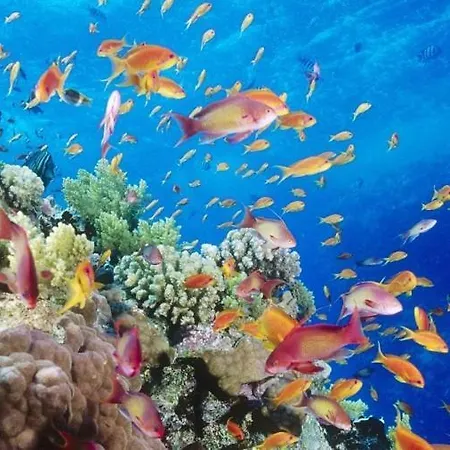 Adosado La Guancha * San Miguel de Abona